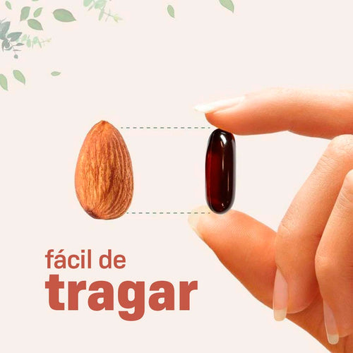 Folixir® - Restauración renal y equilibrio urinario